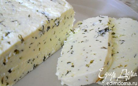 Рецепт – Адыгейский сыр с укропом
