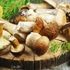 молотые белые грибы