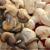 Грибная кассероль (Mushroom Casserole)