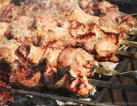Шашлык из свинины с киви и луком - рецепт с фото