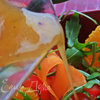 Морковный салат с руколой