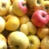 Яблочная галета на трех видах муки