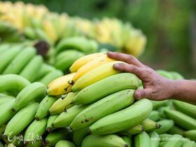 Стало известно, какими бананами можно отравиться