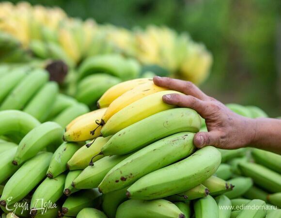 Стало известно, какими бананами можно отравиться