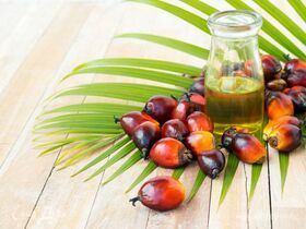 Как маскируют пальмовое масло в молочных продуктах: эксперты раскрыли секреты