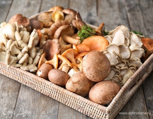 Сделают счастливее, «починят» пищеварение: найдены самые полезные грибы — вы удивитесь