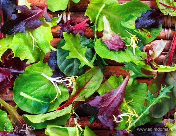 В 8 раз больше витаминов! Найдена самая полезная листовая зелень