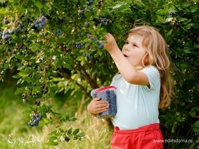 Сколько садовых ягод можно съесть за один раз? Эксперт удивила ответом