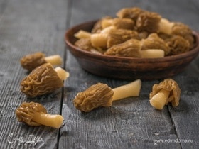 Как готовить сморчки — куриные медальоны под грибным соусом