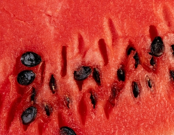 Можно ли есть арбузные косточки? Можно ли есть арбузные косточки?