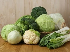 "Самый ценный овощ": доктор Мясников призвал полюбить брокколи — как это сделать? "Самый ценный овощ": доктор Мясников призвал полюбить брокколи — как это сделать?