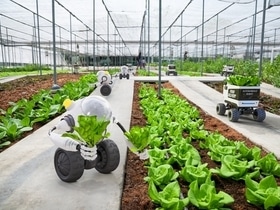 Через 10 лет фермерством будут заниматься роботы: как ИИ внедряют в агросегмент Через 10 лет фермерством будут заниматься роботы: как ИИ внедряют в агросегмент