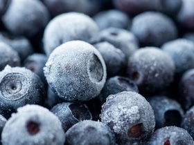 Голубика размером с теннисный мяч: кто планирует создавать огромные ягоды для массового потребления Голубика размером с теннисный мяч: кто планирует создавать огромные ягоды для массового потребления