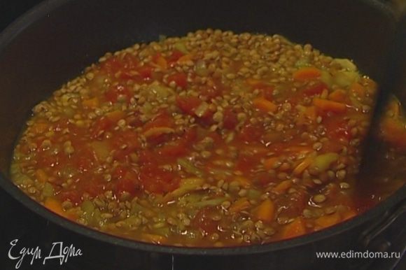 Добавить к чечевице помидоры вместе с соком, накрыть сковороду крышкой и варить похлебку до готовности чечевицы (если понадобится, доливать бульон).