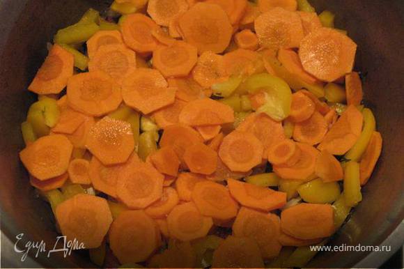 Добавить морковь, нарезанную тонкими кружочками. Немного посолить