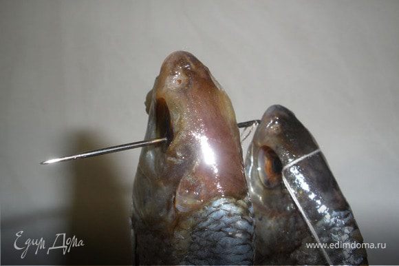 Теперь нанизываем наши рыбки на нитку, для этого возьмем иголку вставим нитку двойную и прошиваем через глаза, на расстоянии 7-10 см, рыбку лучше вешать за голову, чтобы жир не стекал через рот рыбки.