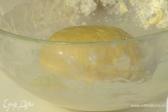 Положить тесто в посуду, смазанную растительным маслом, затянуть пленкой и поставить в теплое место на час.