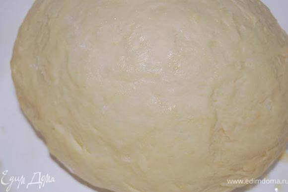 Положить тесто в смазанную маслом миску,накрыть и поставить в теплое место на 1-1,5 часа.