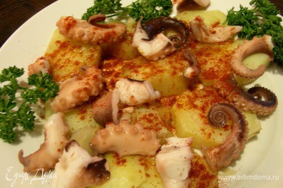 📖 Рецепты из осьминога на ужин - как приготовить в домашних условиях - Дикоед