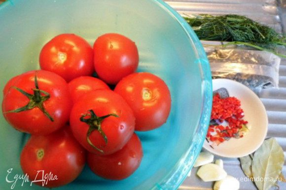 Приготовить все ингредиенты к посолу: помидоры и зелень вымыть, чеснок почистить, острый перчик очистить от семян и мелко нарезать.
