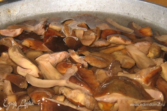Маринуем грибы на зиму: пошаговая инструкция. Справятся даже те, кто не умеет готовить!