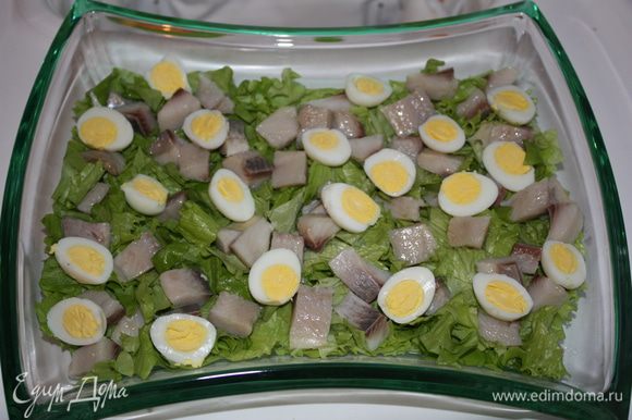 Яйца чистим и режем напополам. Выкладываем на селедку и салат.