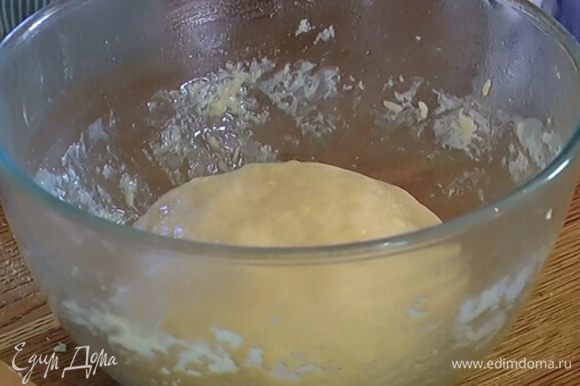 Глубокую посуду смазать оливковым маслом, поместить в нее тесто и накрыть полотенцем, смоченным в горячей воде. Поставить в теплое место для расстойки.