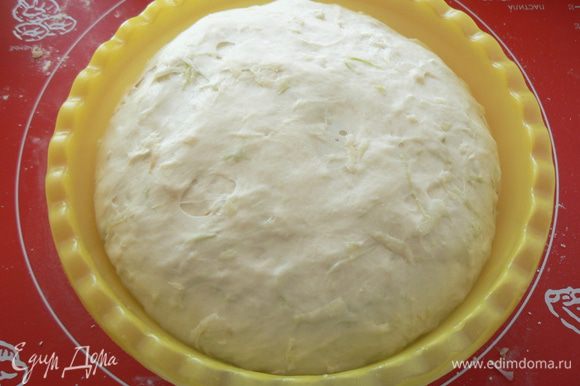 Положить тесто в миску, накрыть и оставить в теплом место ~ на 1,5 часа (тесто должно увеличиться в 2 раза)