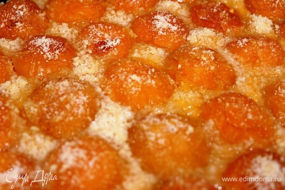 Во время приготовления образуется сок, который пропитывает половинки абрикосов. В результате получается очень сочный и ароматный пирог. На праздничном столе он смотрится очень эффектно и нарядно, благодаря ярким абрикосам. Угощайтесь!!!