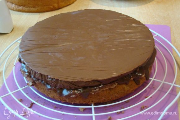 Приступаем к сборке торта. Бисквиты разрезать вдоль на 2 коржа каждый. //////Шоколадный бисквит / Шоколадный бригадейро / Шоколадное безе / Шоколадный бригадейро / Шоколадный мусс.
