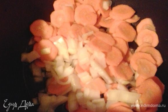 Лук порезать кубиком, морковь кружочками. Обжариваем их в сотейнике на растительном масле минут 10–15.
