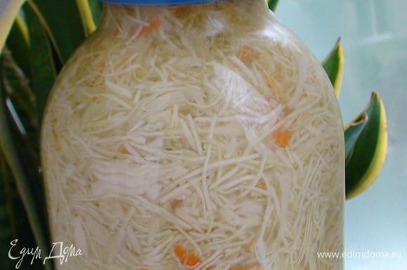 Маринованная капуста со свеклой, пошаговый рецепт на ккал, фото, ингредиенты - gapapolya