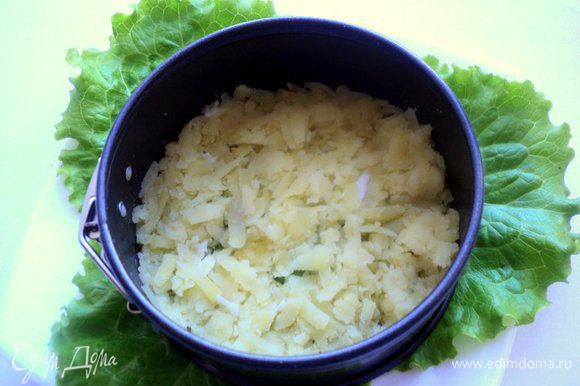 На тарелку выложить листья салата, сверху металлическое кольцо (у меня Ф-10 см). На дно выложить натертый картофель, посолить и поперчить по вкусу.