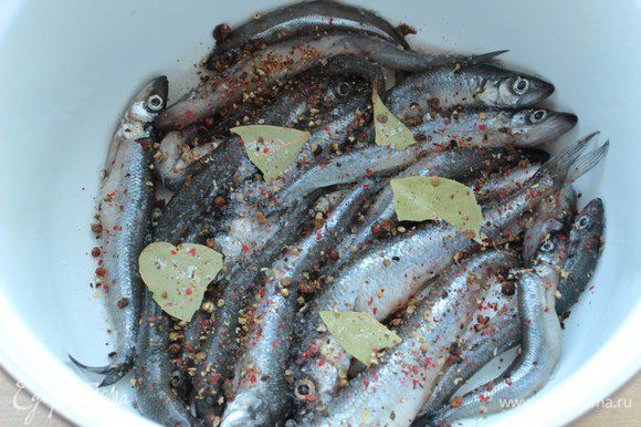 Посыпать специями и лавровым листом. Послойно выложить всю рыбу, пересыпая ее солью и специями.