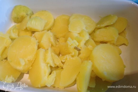 В смазанную маслом форму выложите нарезанный кружочками картофель...