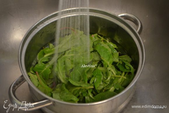 Салатные листья на 4 порции помыть под проточной водой. Салатная смесь молодых листьев как шпинат, кале.