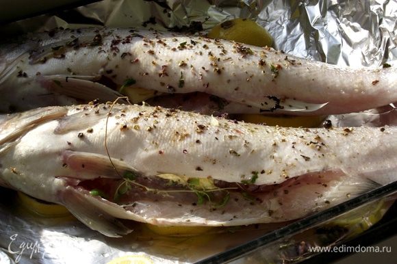 Приготовить судак в духовке: лучшие рецепты для настоящих рыбаков