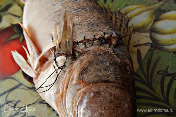 С помощью нитки и иголки пришиваем голову судака к туловищу. Делайте это очень аккуратно, чтобы не порвать кожу рыбы и не пораниться.