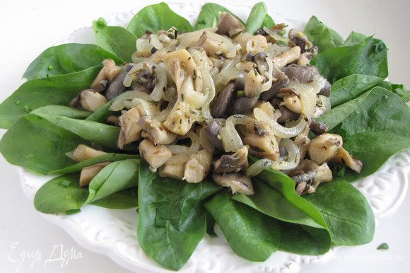 Разложите салатную зелень по тарелкам, сверху выложите порцию теплых грибов. Полейте салат горячей заправкой.