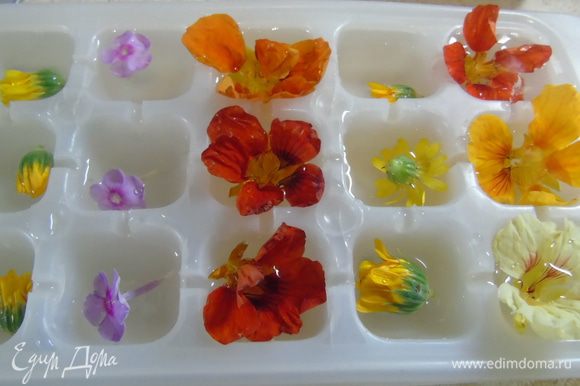 Вначале приготовим лед. В емкость для льда выложить цветы и залить до половины минеральной водой без газа. Отправить в морозилку, через некоторое время, когда лед схватится, долить воду чтоб она покрыла цветы.
