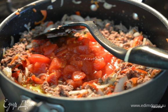 Добавить томаты в собственном соку, нарезанные кубиками, орегано и соль. Готовить, помешивая 30 мин.