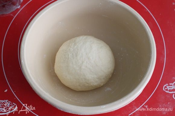 Вымешивать тесто нужно не менее 10 минут до гладкости. Кладем в чашку, накрываем.