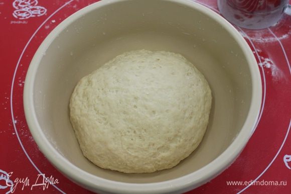 Перенести на подпыленную мукой поверхность, замесить мягкое тесто. придать тесту форму шара, переложить в миску, накрыть и оставить подниматься на 30 минут.