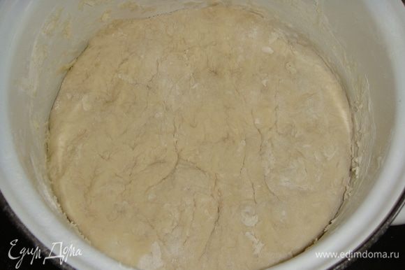 Всыпать соду и, частями добавляя муку, замесить мягкое тесто (муки может уйти меньше). Поставить тесто в теплое место на 1 час.