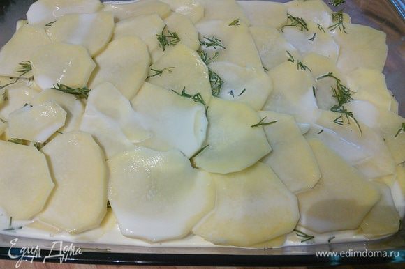 Залить сливочно-молочной смесью. Картофель должен быть полностью покрыт жидкостью, в противном случае необходимо добавить сливки.