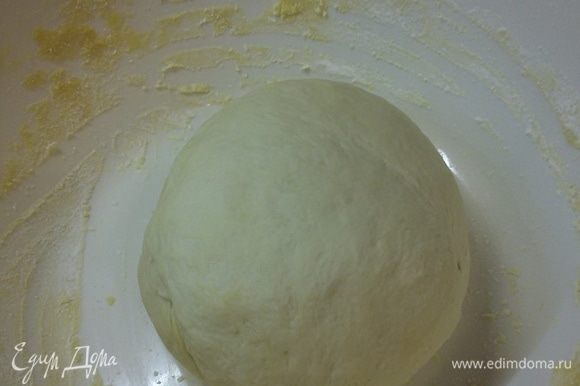 В опару добавить оставшуюся муку, соль, сахар и 90 г воды. Замесить тесто. Во время замеса постепенно добавлять горчичное масло. Тесто скатать в шар и поставить на подъем на 1 час.