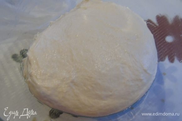 В миску влейте оливковое масло и выложите тесто Лучше в прозрачную, так видно как тесто наполняется пузырьками. Накройте и оставьте на 2,5-3 часа. За это время тесто увеличится вдвое в размере и станет более пористым.