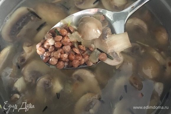 Залить чечевицу с грибами бульоном (куриным или овощным) или просто бутилированной водой.