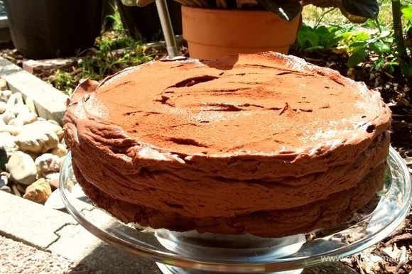 Вот такой насыщенный шоколадный торт у вас получится.