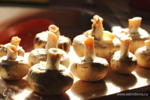 Пока печется рулет, приготовить начинку: грибы и лук пожарить на растительном масле, посолить и поперчить.